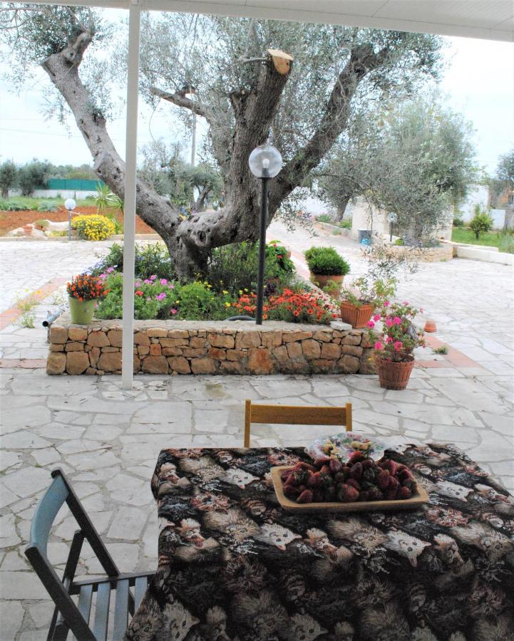 Bed and Breakfast Microborgopasca à Sannicola Extérieur photo